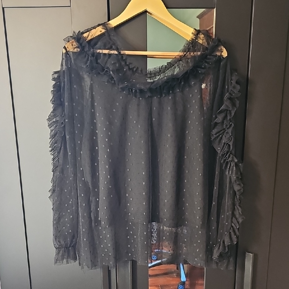 Black Sheer Mesh Ruffle Blouse 1X Whimsigoth Victorian Romantic Goth Coquette